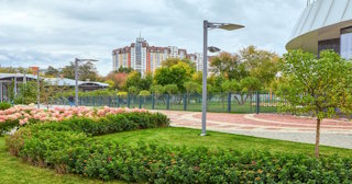 Профессиональное озеленение улиц в Городце в октябре