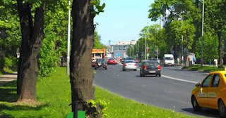 Посадка деревьев и кустарников в Городце — стоимость от 1215 руб.