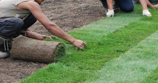 Укладка газона в Городце в октябре